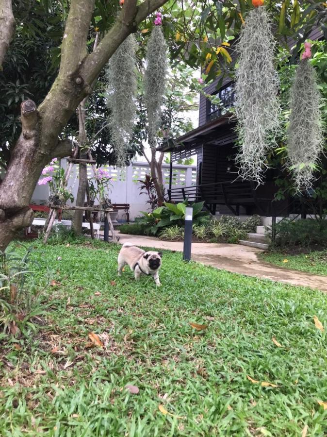 Baansuanklaiklungbangkrachao บ้านสวนใกล้กรุงบางกะเจ้า Phra Pradaeng Kültér fotó